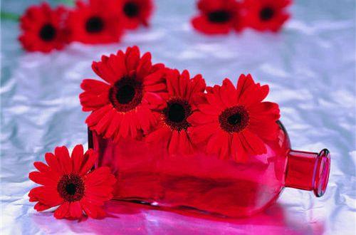 对恋人伤心失望的句子