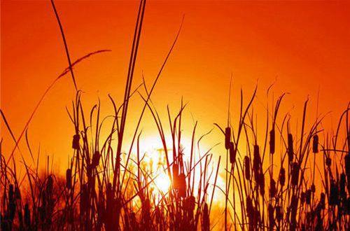 一个人对一个公司彻底失望的句子