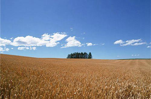 情感短句以下 快手情感语录短句