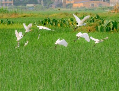 ​妈妈送给孩子的话56句