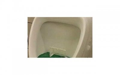 ​撩人情话最暖心长句500字[520表白的情书]