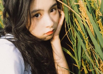 ​委婉的情话短语英文（委婉的情话短语）