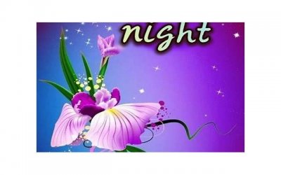 ​冬天撩人的土味情话