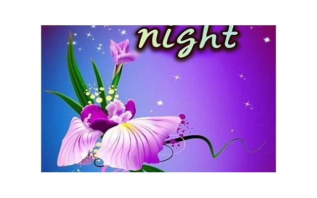 冬天撩人的土味情话 冬天撩人的土味情话