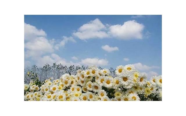 春天励志的佳句 春天励志的佳句