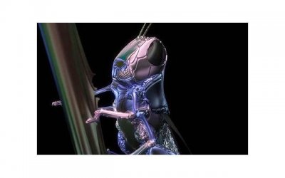 ​珍惜的情话大全（珍惜现在的情话）