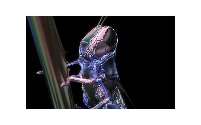 珍惜的情话大全（珍惜现在的情话）