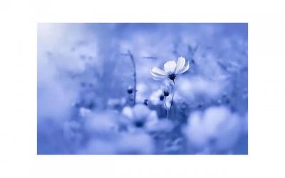 ​叫女友起床土味情话