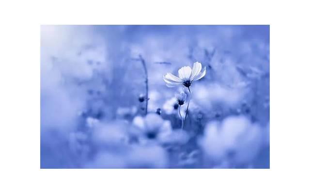 叫女友起床土味情话