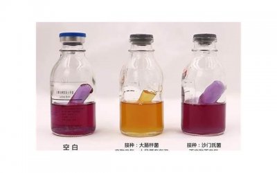 ​让你们的感情更加黏密！ 小情话暖人心10字以内