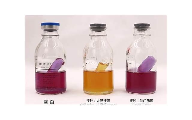 让你们的感情更加黏密！ 小情话暖人心10字以内