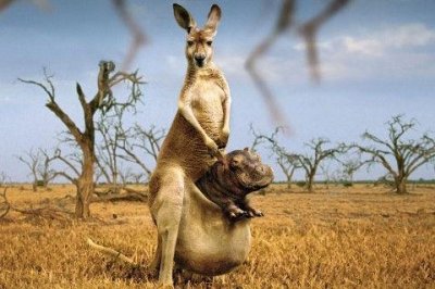 ​早安最美一句话吸引人的朋友圈文案精选76句