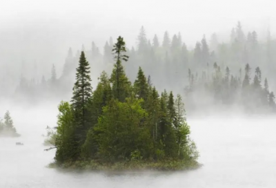 ​朋友圈晒花的心情短语(汇总72句)