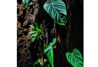 ​朋友圈搞笑的句子说说心情(实用53句)