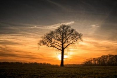 ​2025年不要迷恋姐的霸气句子(59句)