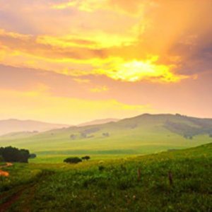 ​关于友情不散的句子 形容友谊的句子朋友圈