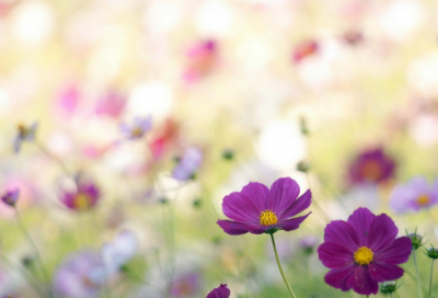 ​微信朋友圈的搞笑句子(67句)