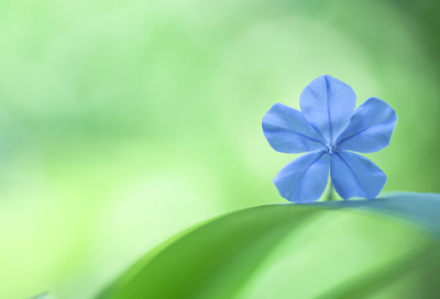 ​好看的中文加英文的网名(共155个)