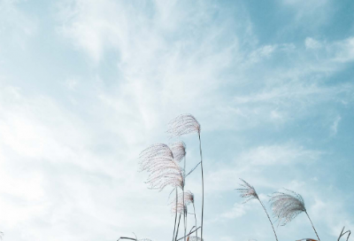 ​冷门且高级的情侣网名