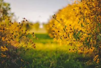 ​潮范儿qq情侣网名(102个)