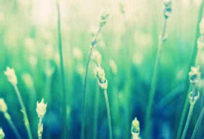 ​潮流欧美范中英文网名(152个)