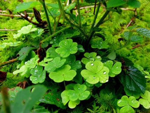 很走心的干净短句