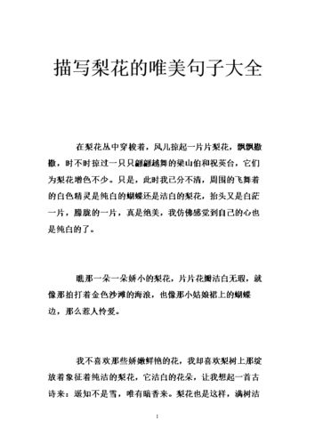 描写姐妹唯美简短句子 亲姐妹之间的唯美句子