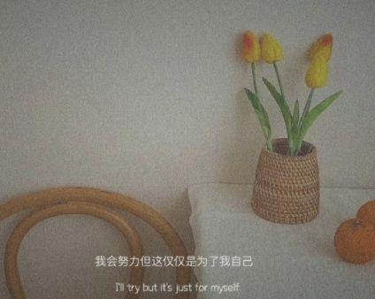 早安正能量简单一句话 清晨发朋友圈问候的句子