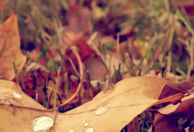 ​高质量朋友圈说说文案