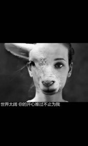 ​抖音流行的文字段子 抖音霸气说说 押韵(24句)