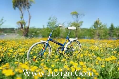 发表生日的说说发表关于自己生日的说说(精选27句)