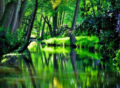 ​宫斗经典霸气语录