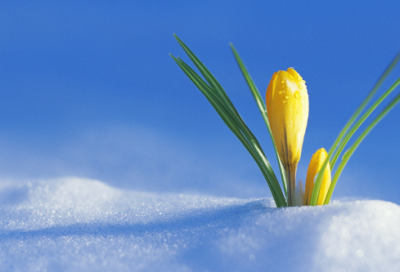 ​带据说的网名大全男孩