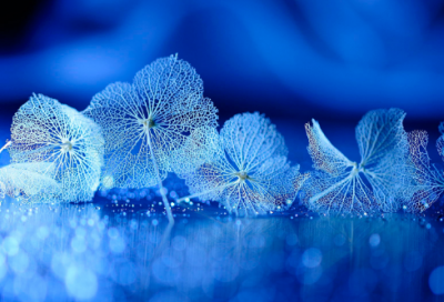 ​带幸字谐音的网名大全