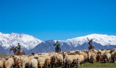 ​张姓好听到爆的网名 张姓独一无二的微信名字
