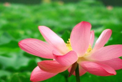 ​让男朋友看了心疼的话 发朋友圈让人看到感动的