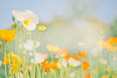 ​励志类格言120句