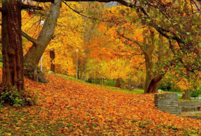 ​用燕字取个优雅网名(优选115个)