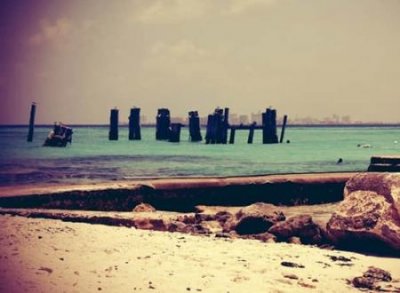 ​五行既有水又有木的名字有哪些