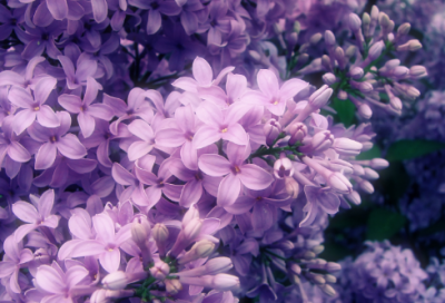 ​炫舞一个字的游戏名(共197个)