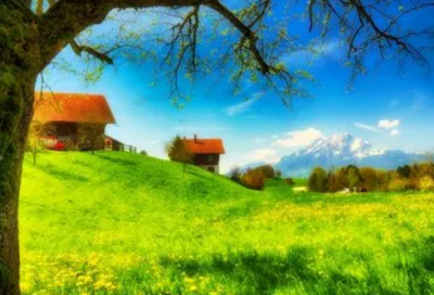 ​起个暴富的网名(精选116个)