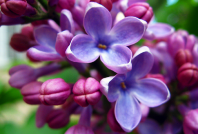 ​深奥高冷一个字的网名(精选200个)