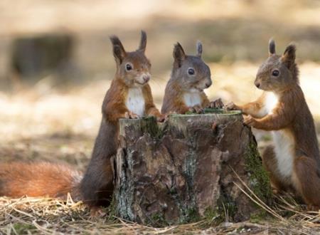 搞怪逗乐的闺蜜微信群名称,奇葩另类的闺蜜同学群名字