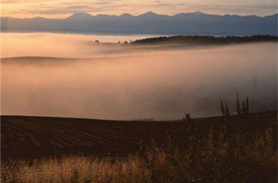 ​经典正能量励志语句摘录