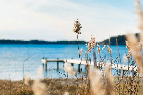 励志内涵语录100句