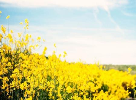 接地气不俗套的干净网名,寓意好的简单微信昵称