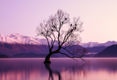 ​搞笑的游戏角色名字大全_1岁就恋爱