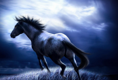 ​为梦想而奋斗的句子 梦想与青春的励志句子85句