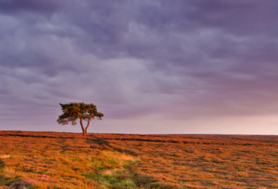 ​简单的游戏英文名