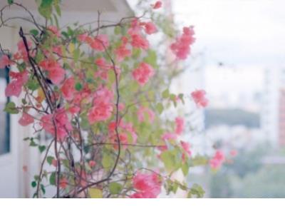 女人励志名言短句霸气